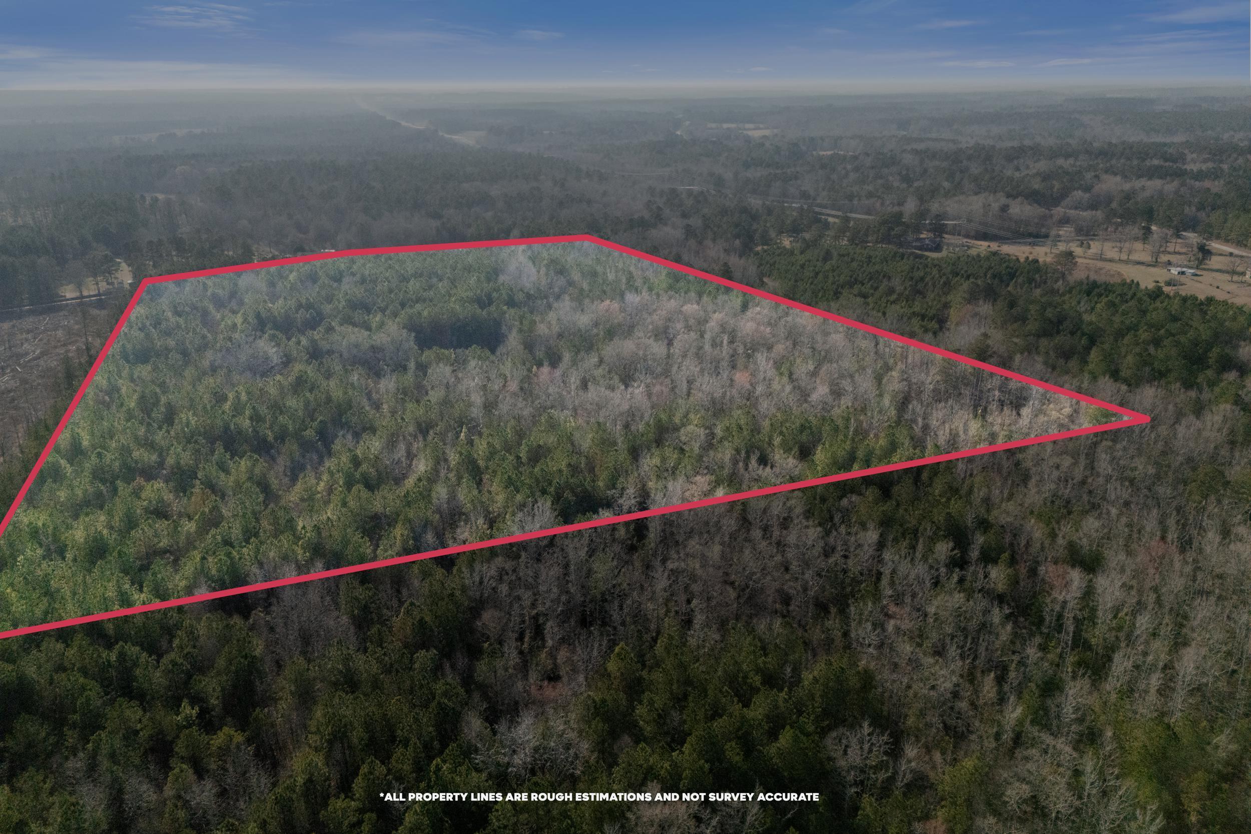 1816 Sterling Gibson Road Thomson, GA 30824 - Photo 19 of 28 2026-03-04_1816_sterling_gibson_rd-srm-1