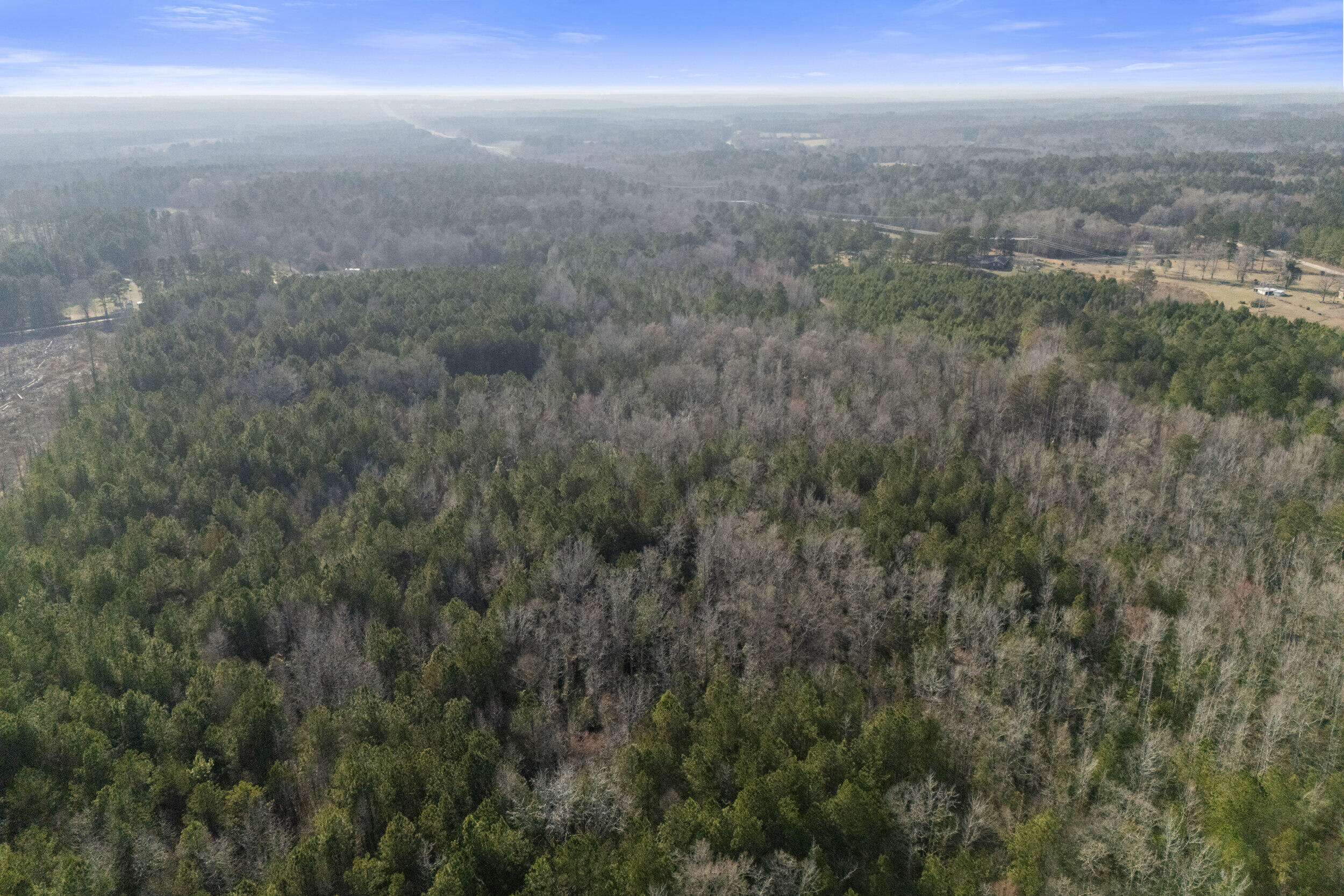 1816 Sterling Gibson Road Thomson, GA 30824 - Photo 20 of 28 2026-03-04_1816_sterling_gibson_rd-srm-1