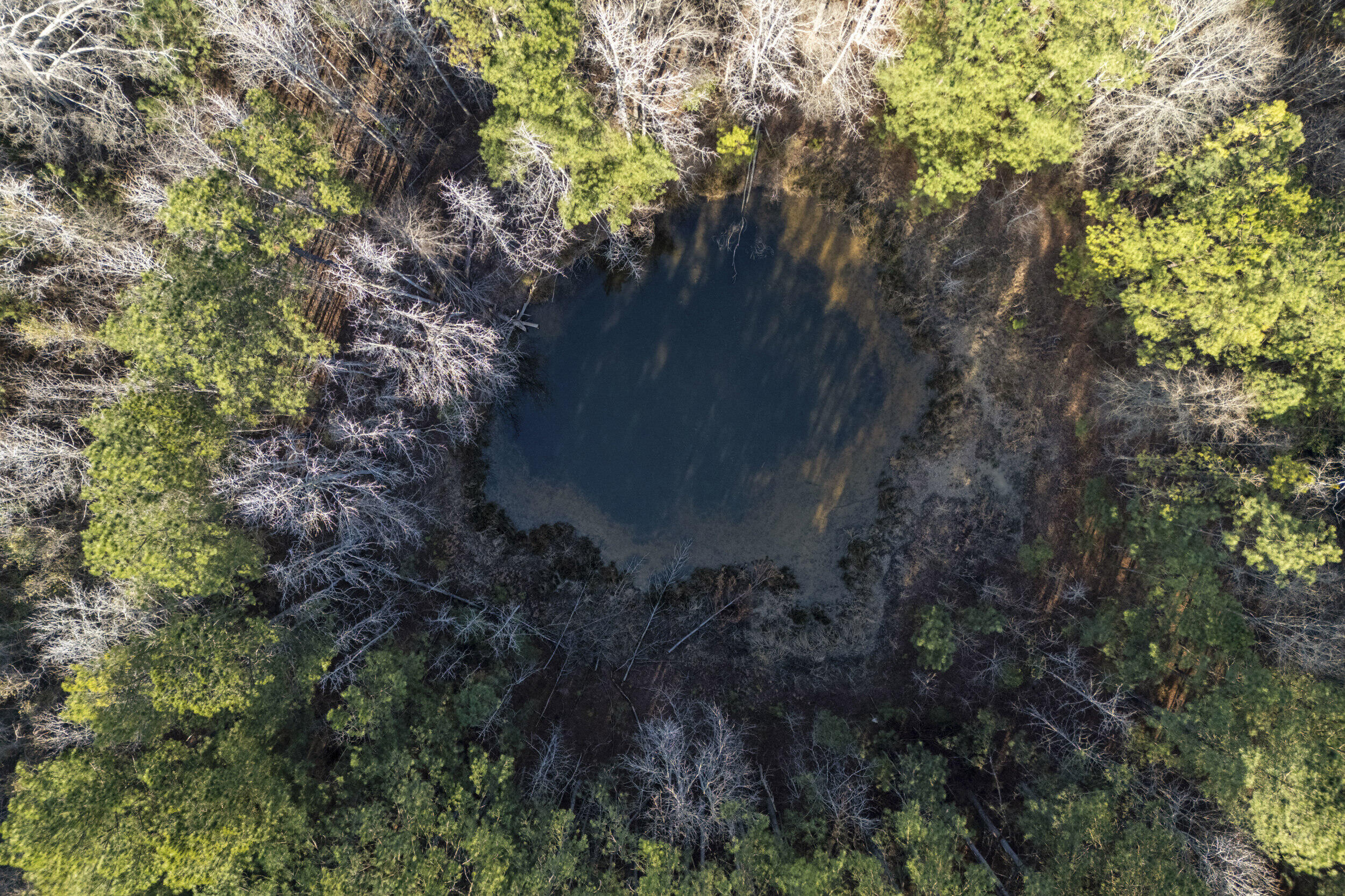 1816 Sterling Gibson Road Thomson, GA 30824 - Photo 27 of 28 2026-03-04_1816_sterling_gibson_rd-srm-1