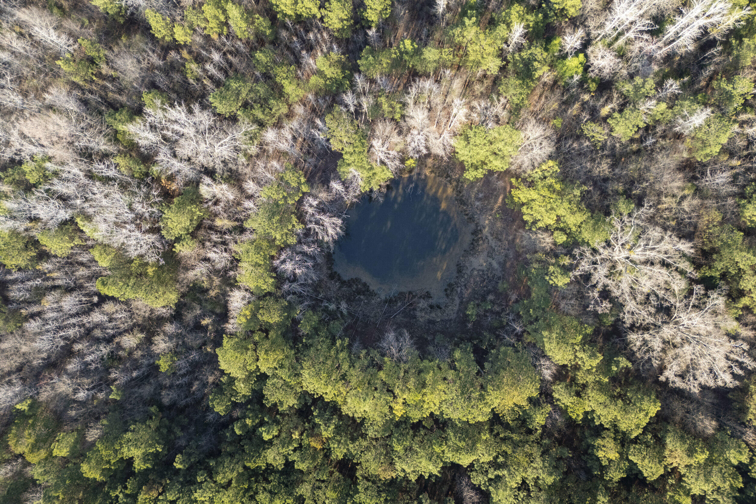 1816 Sterling Gibson Road Thomson, GA 30824 - Photo 28 of 28 2026-03-04_1816_sterling_gibson_rd-srm-1