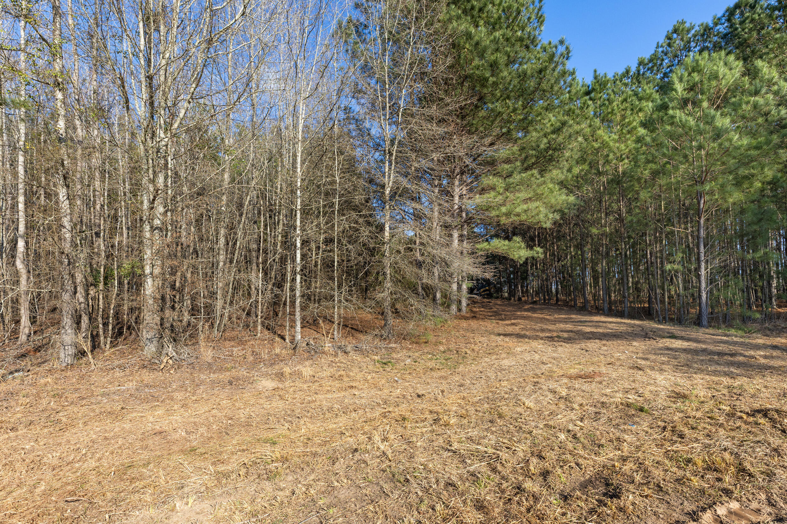 1816 Sterling Gibson Road Thomson, GA 30824 - Photo 3 of 28 2026-03-04_1816_sterling_gibson_rd 01 |