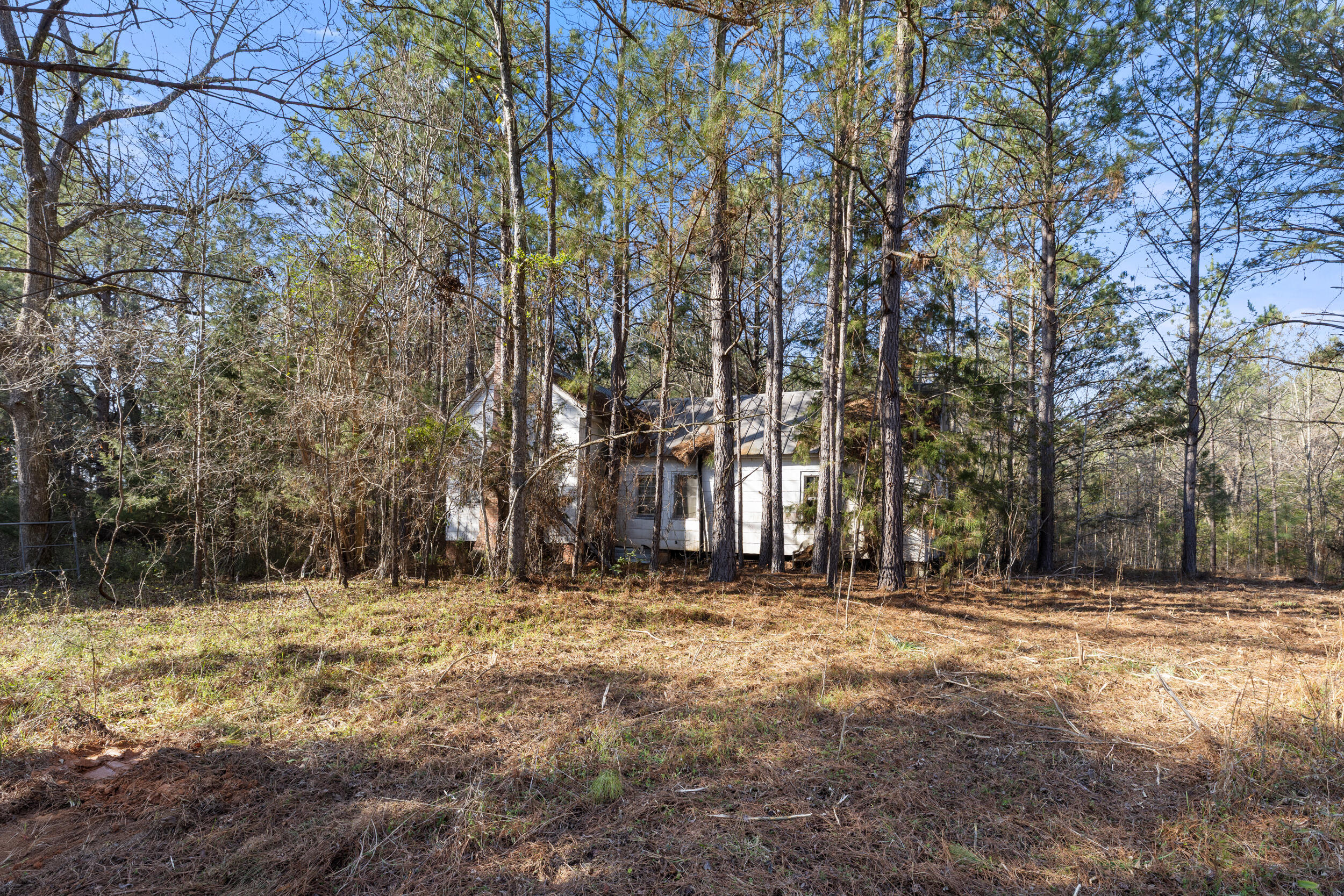 1816 Sterling Gibson Road Thomson, GA 30824 - Photo 4 of 28 2026-03-04_1816_sterling_gibson_rd 02 |
