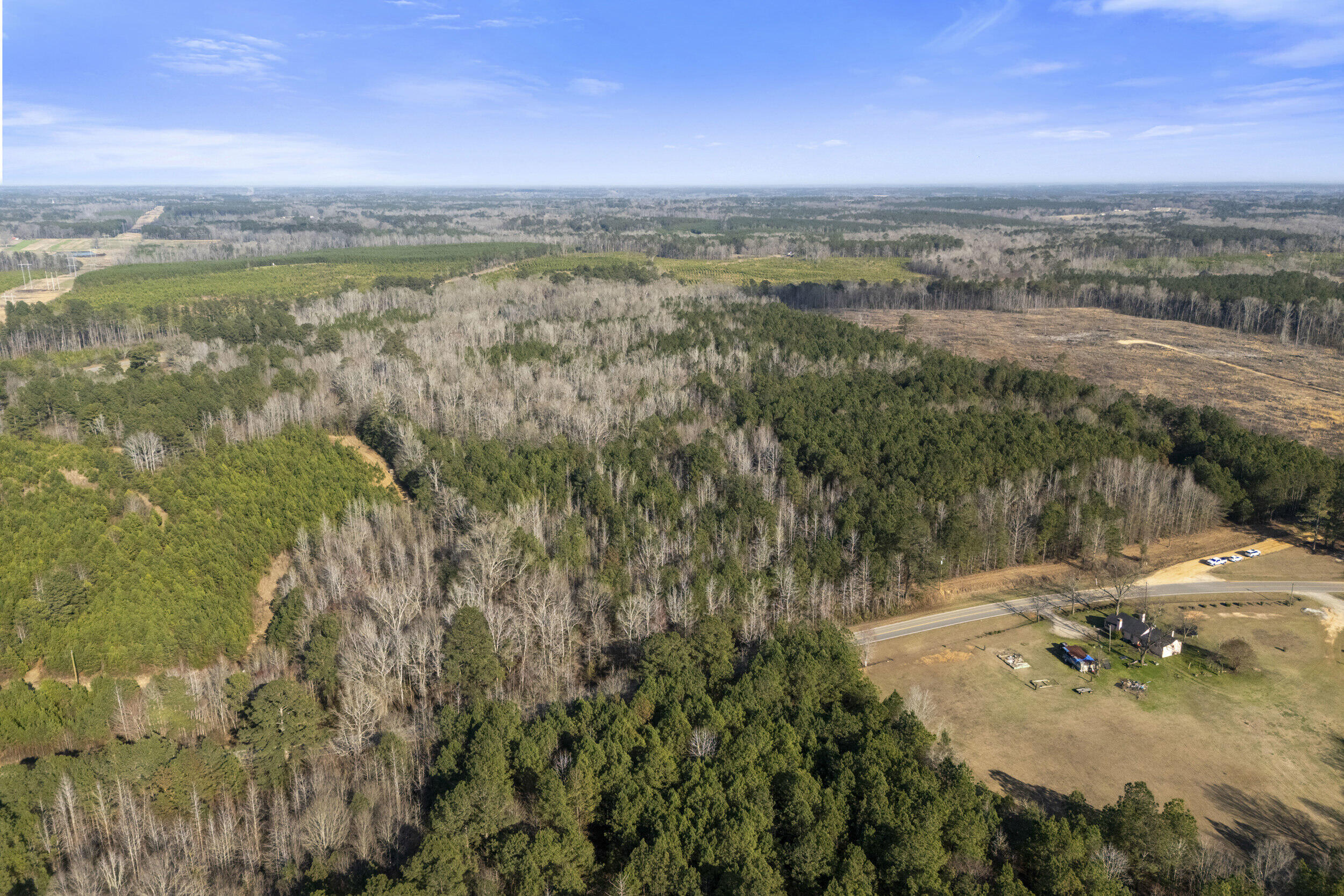 1816 Sterling Gibson Road Thomson, GA 30824 - Photo 6 of 28 2026-03-04_1816_sterling_gibson_rd 04 |