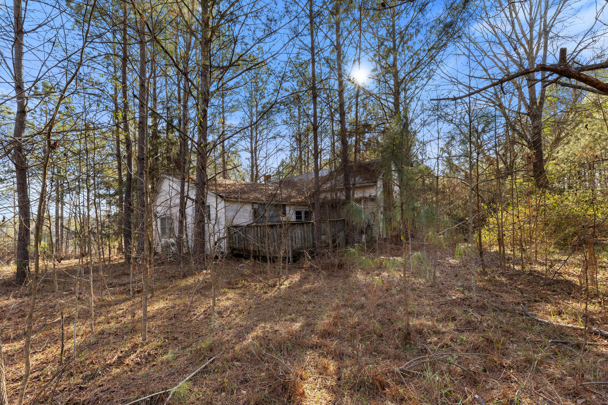 1816 Sterling Gibson Road Thomson, GA 30824 - Photo 7 of 28 2026-03-04_1816_sterling_gibson_rd-srm-0