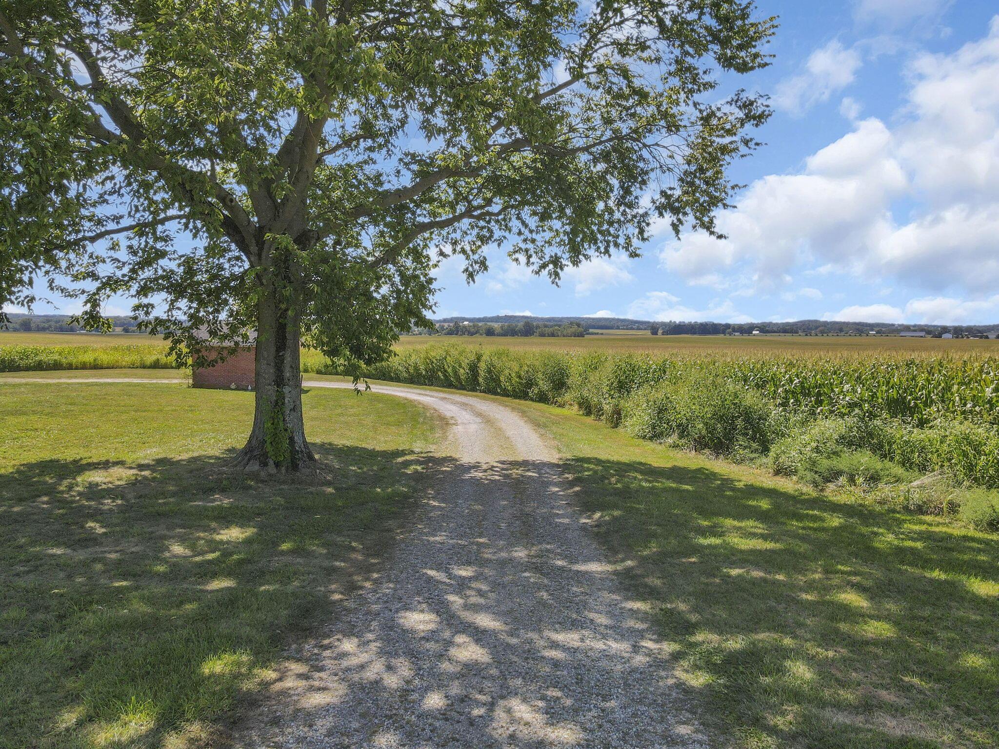 4535 Amanda Northern Road Amanda, OH 43102 - Photo 59 of 72 Driveway