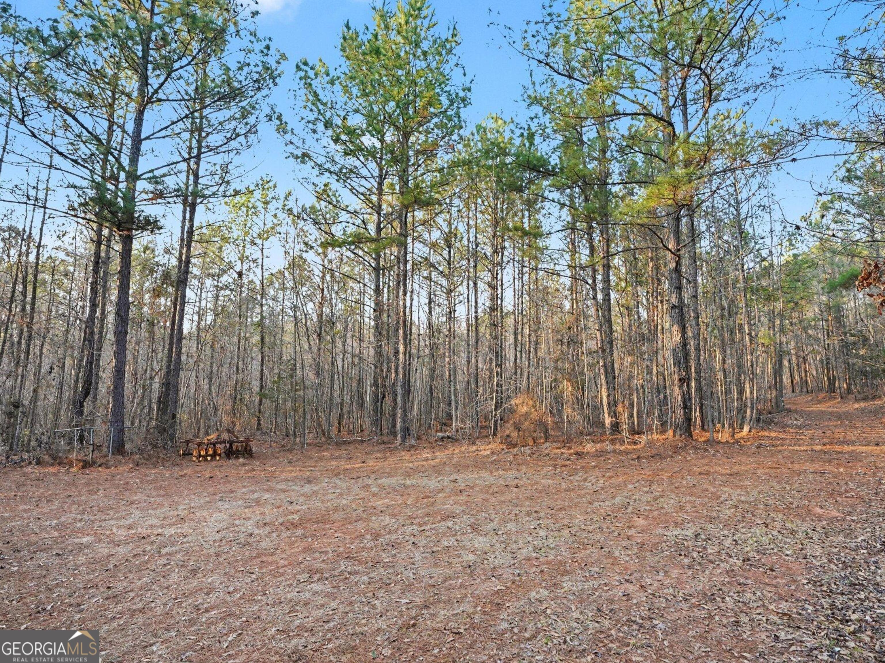 0 Logtown Road Thomaston, GA 30286 - Photo 3 of 51 a view of outdoor space with trees