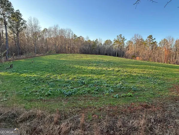 a view of a field with trees in the background