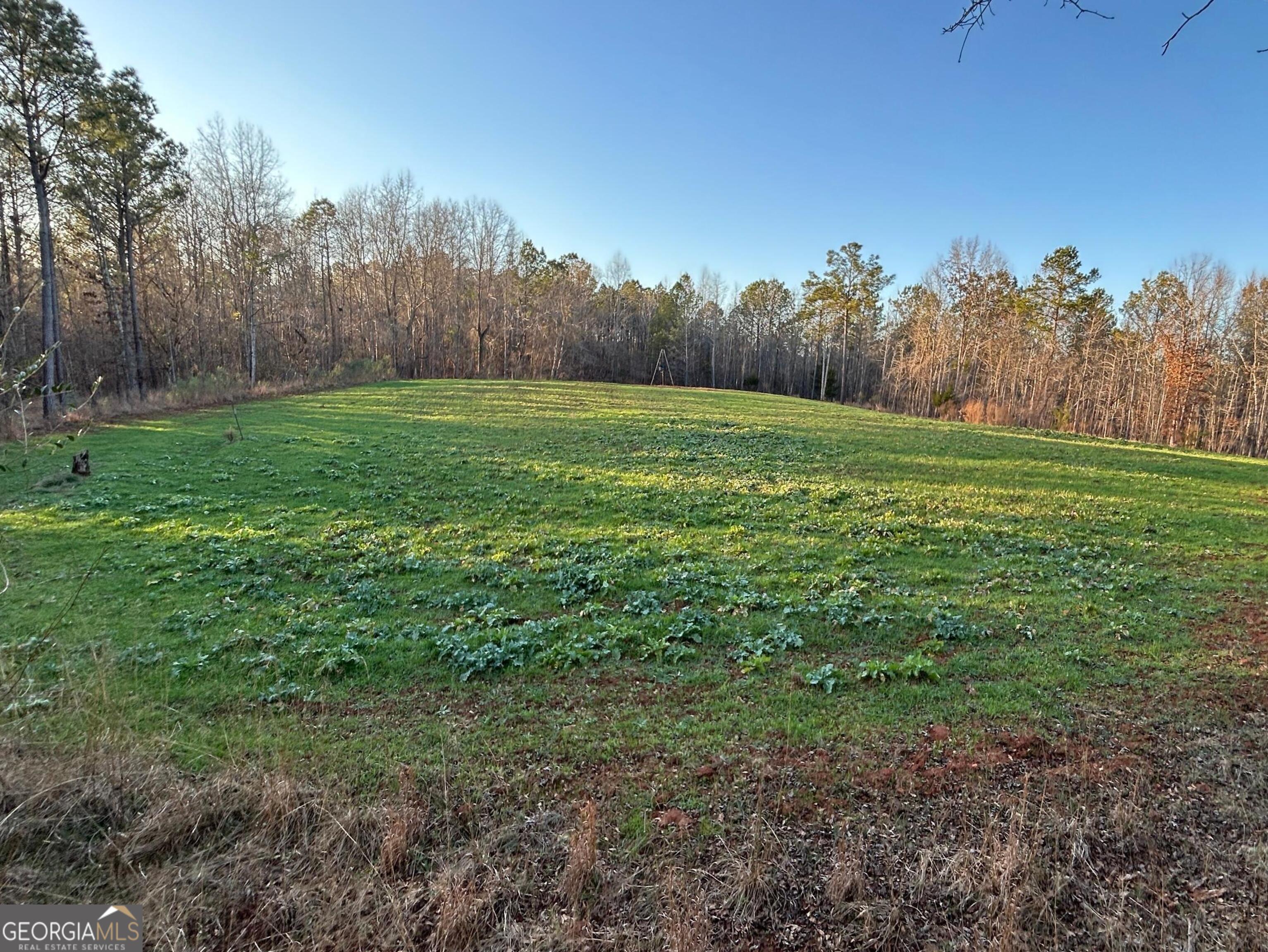 0 Logtown Road Thomaston, GA 30286 - Photo 32 of 51 a view of a grassy field with trees in the background