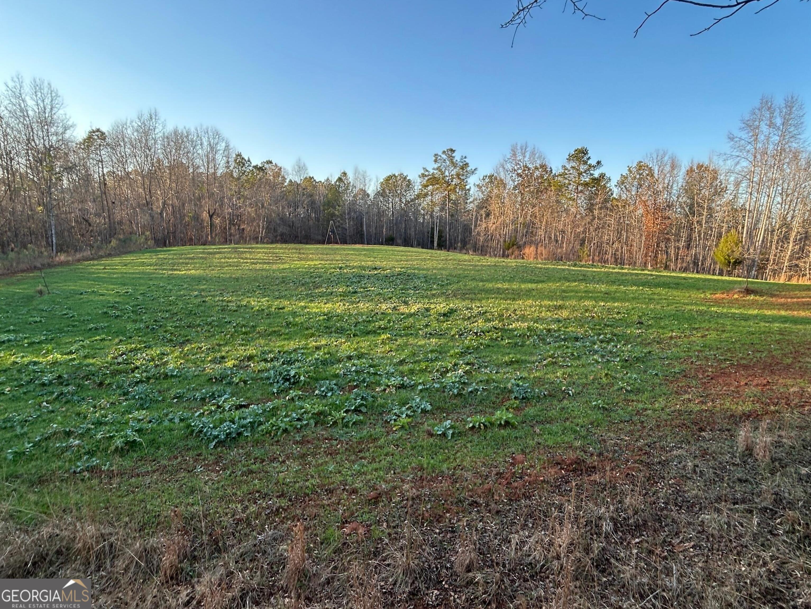 0 Logtown Road Thomaston, GA 30286 - Photo 33 of 51 a view of a field with trees in the background