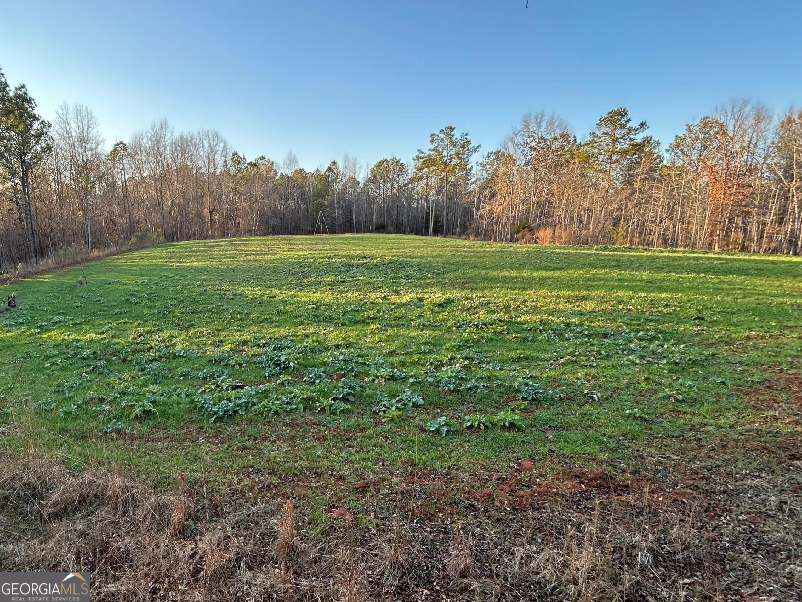 0 Logtown Road Thomaston, GA 30286 - Photo 34 of 51 a view of a field with trees in the background