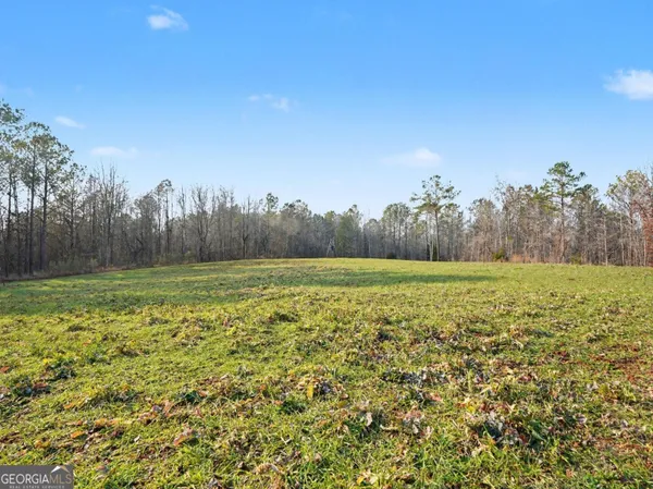 a view of a field with large trees