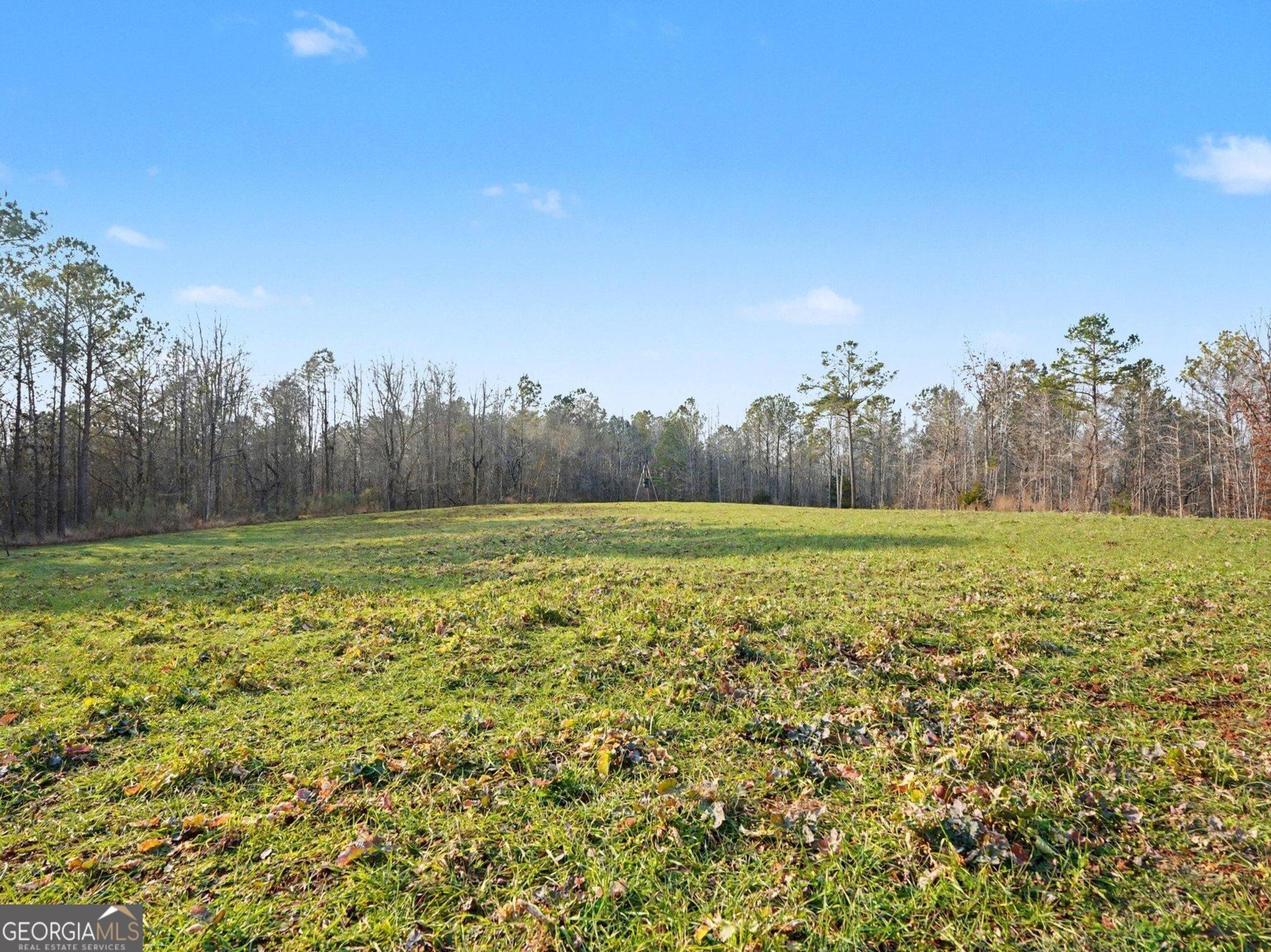 0 Logtown Road Thomaston, GA 30286 - Photo 5 of 51 a view of a field with large trees