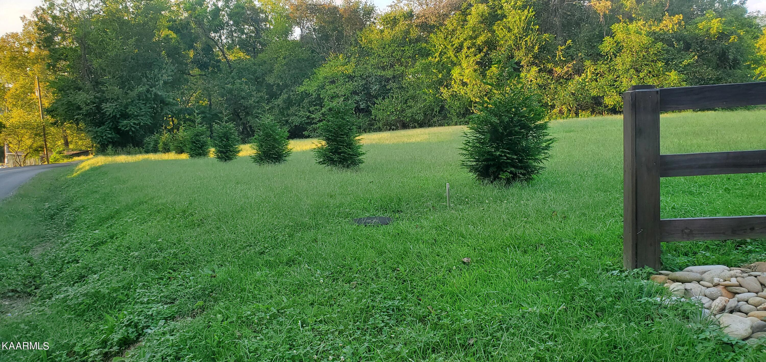 1462 Harold Patterson Road Dandridge, TN 37725 - Photo 3 of 16 20220917_183651