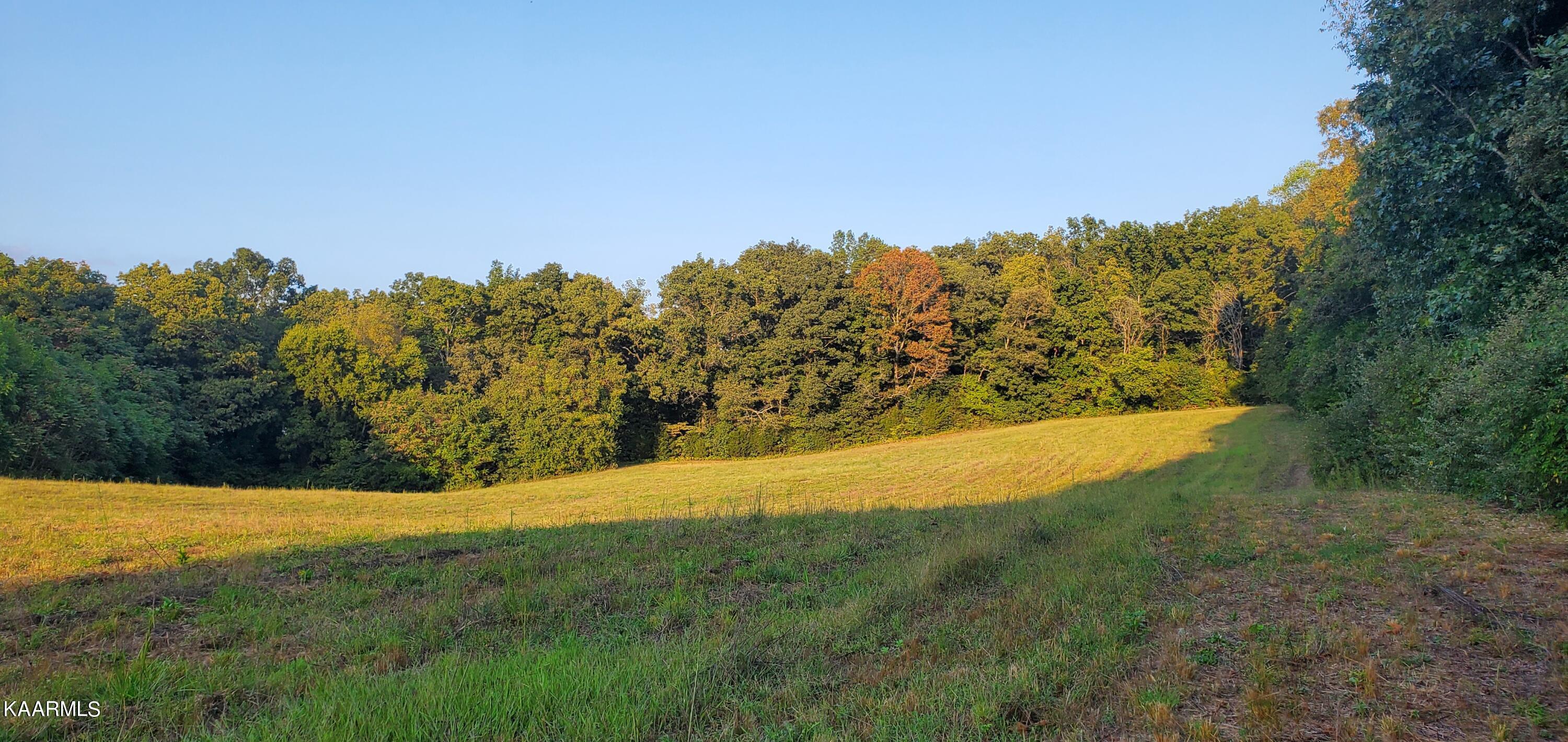 1462 Harold Patterson Road Dandridge, TN 37725 - Photo 8 of 16 20220917_185134
