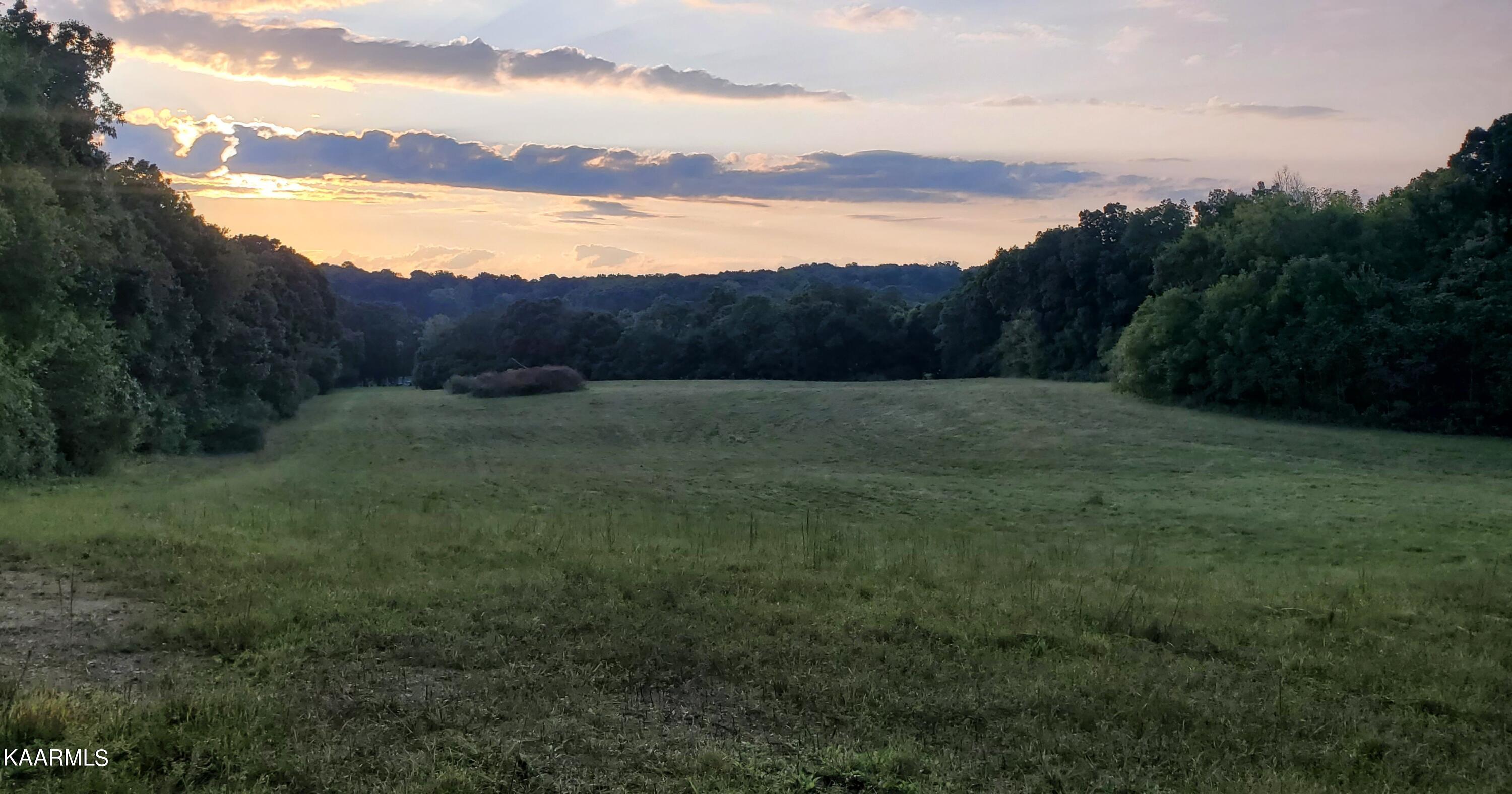 1462 Harold Patterson Road Dandridge, TN 37725 - Photo 10 of 16 20220917_185908