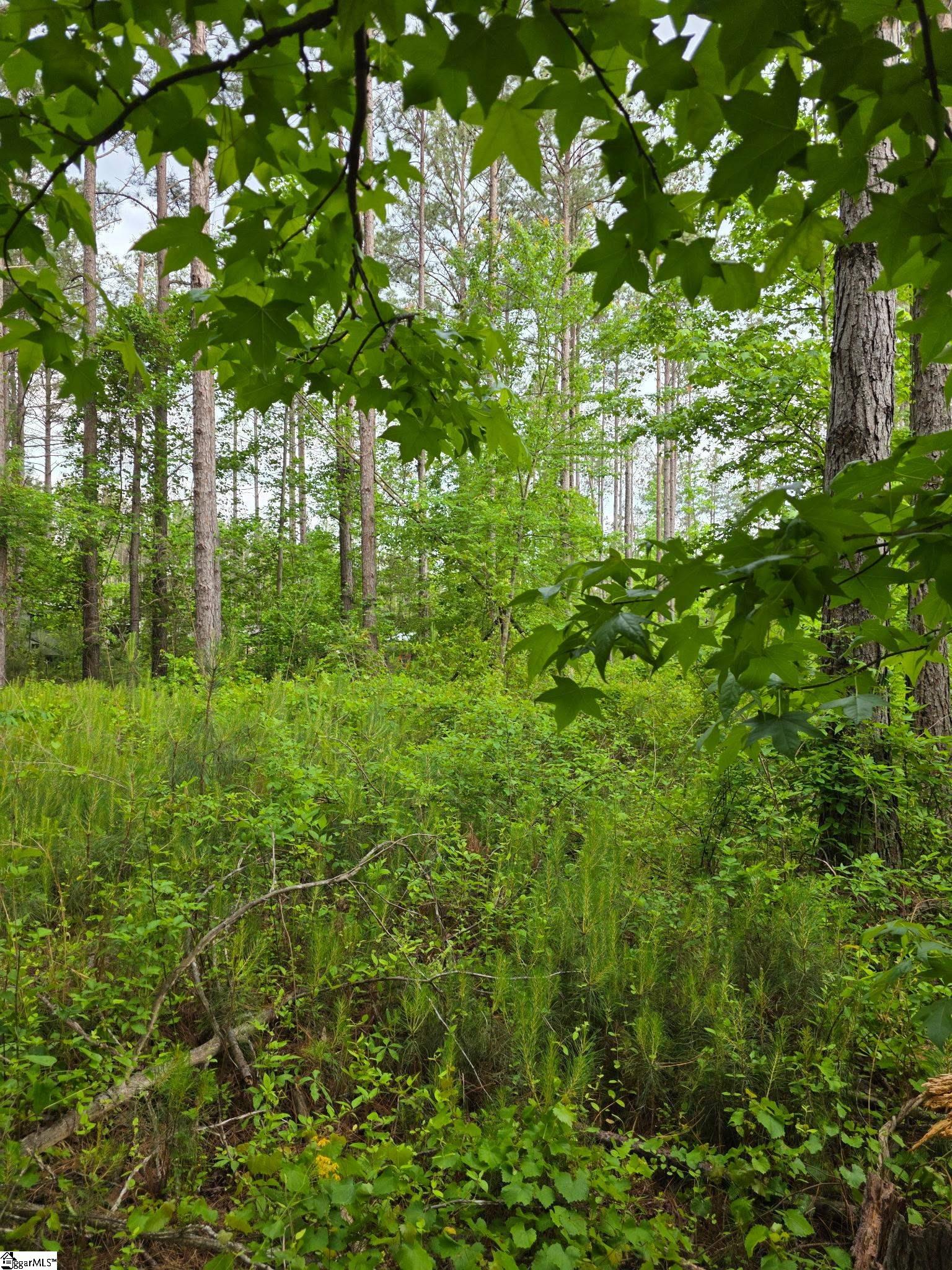 862 Dunklin Bridge Road Fountain Inn, SC 29644 - Photo 19 of 24 Gallery Image 19