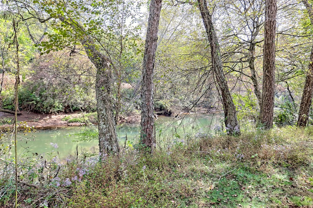 1483 Hilltop Road Murphy, NC 28906 - Photo 4 of 74 a backyard of a house with lots of green space