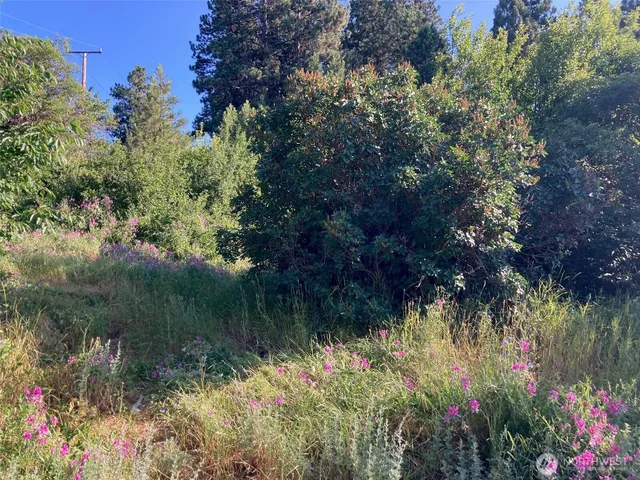 $117,450 | 322 West 4th Street, Cle Elum, WA 98922