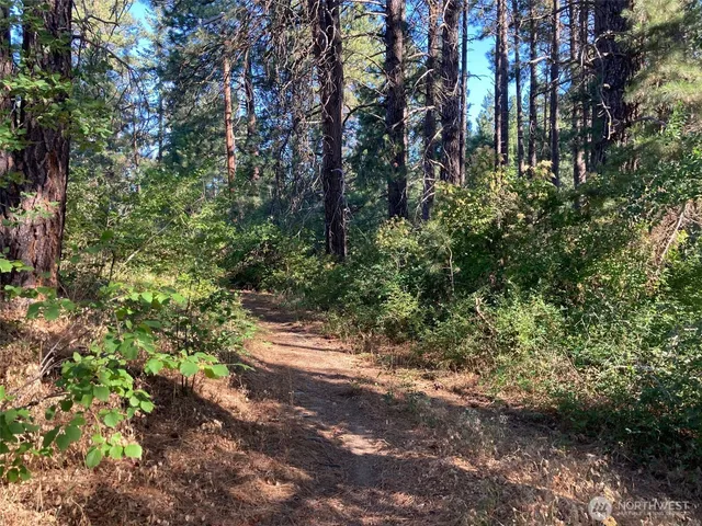 $117,450 | 322 West 4th Street, Cle Elum, WA 98922