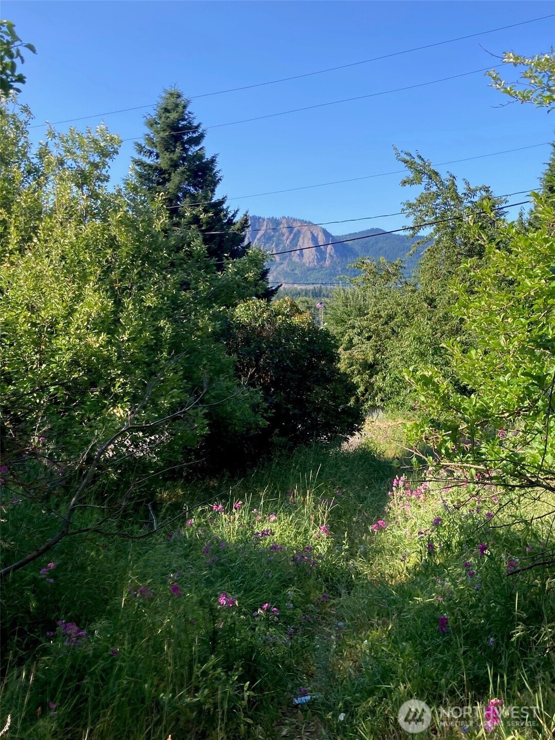 322 West 4th Street Cle Elum, WA 98922 - Photo 6 of 6