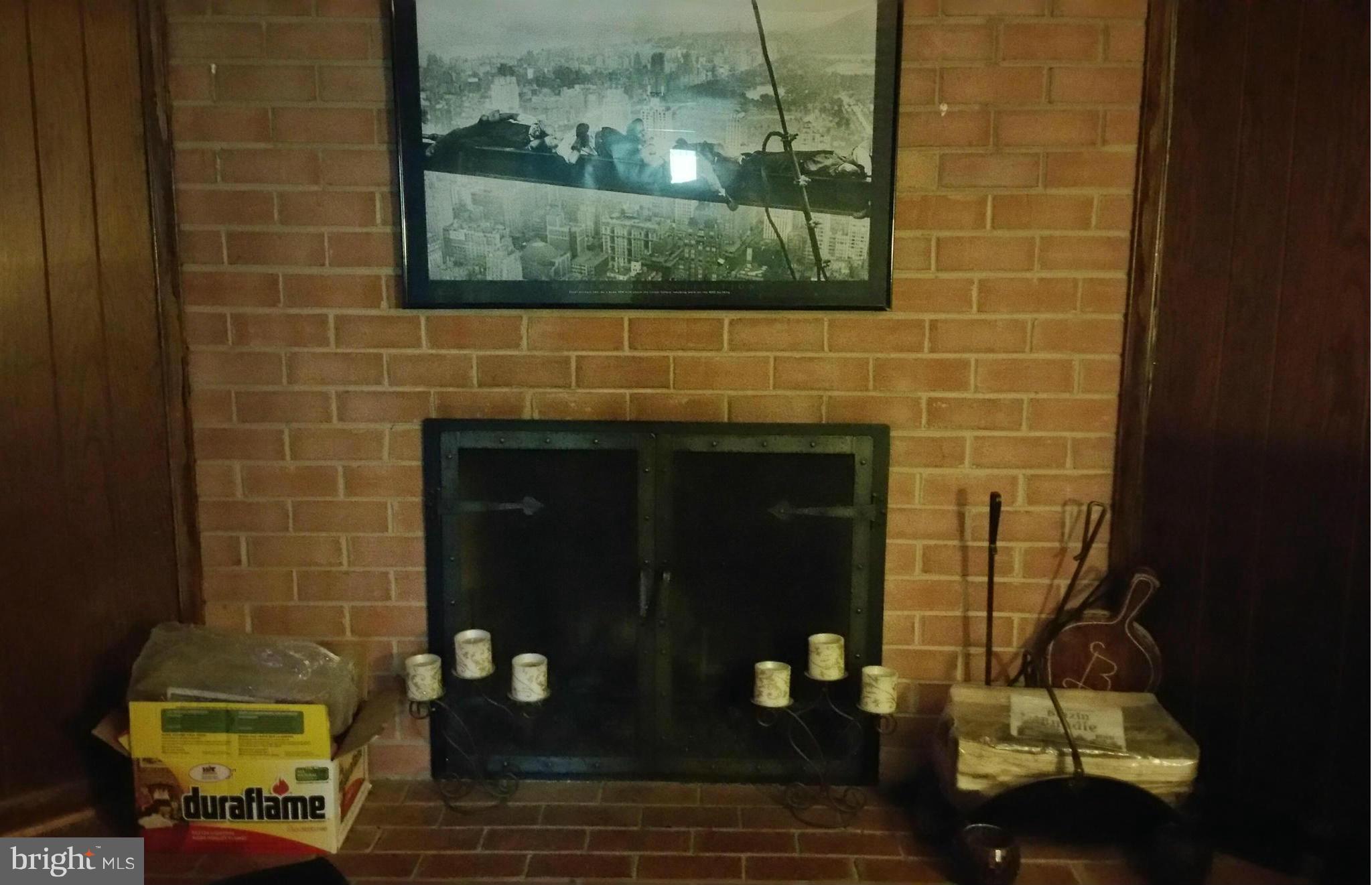 12605 Garden Gate Road Silver Spring, MD 20902 - Photo 10 of 27 Fireplace