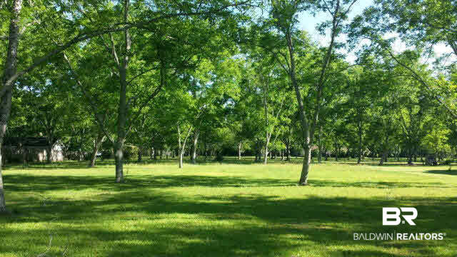 0 Cape Fear Boulevard Foley, AL 36535 - Photo 1 of 15