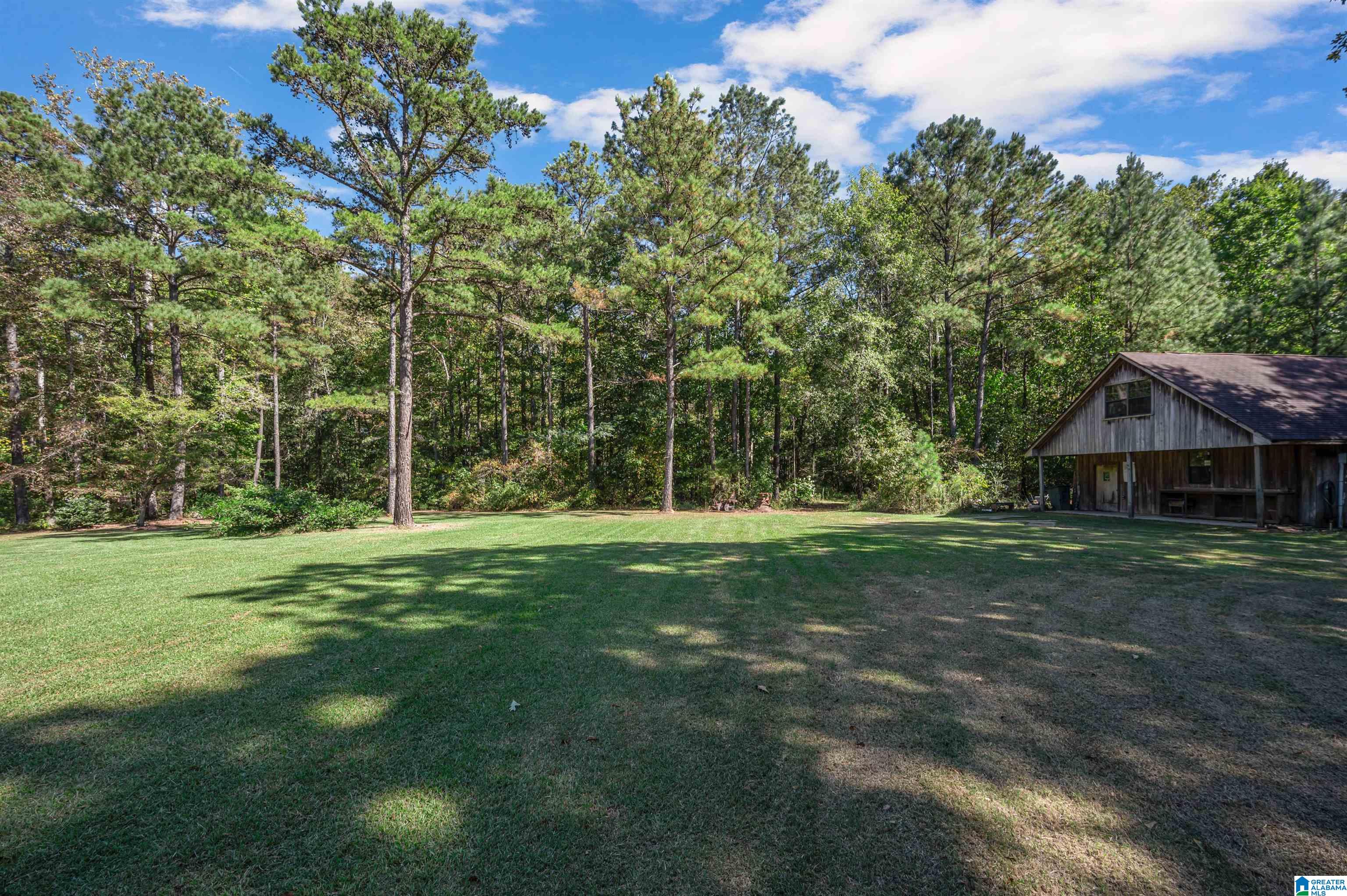 20110 Highway 22 Clanton, AL 35045 - Photo 40 of 49