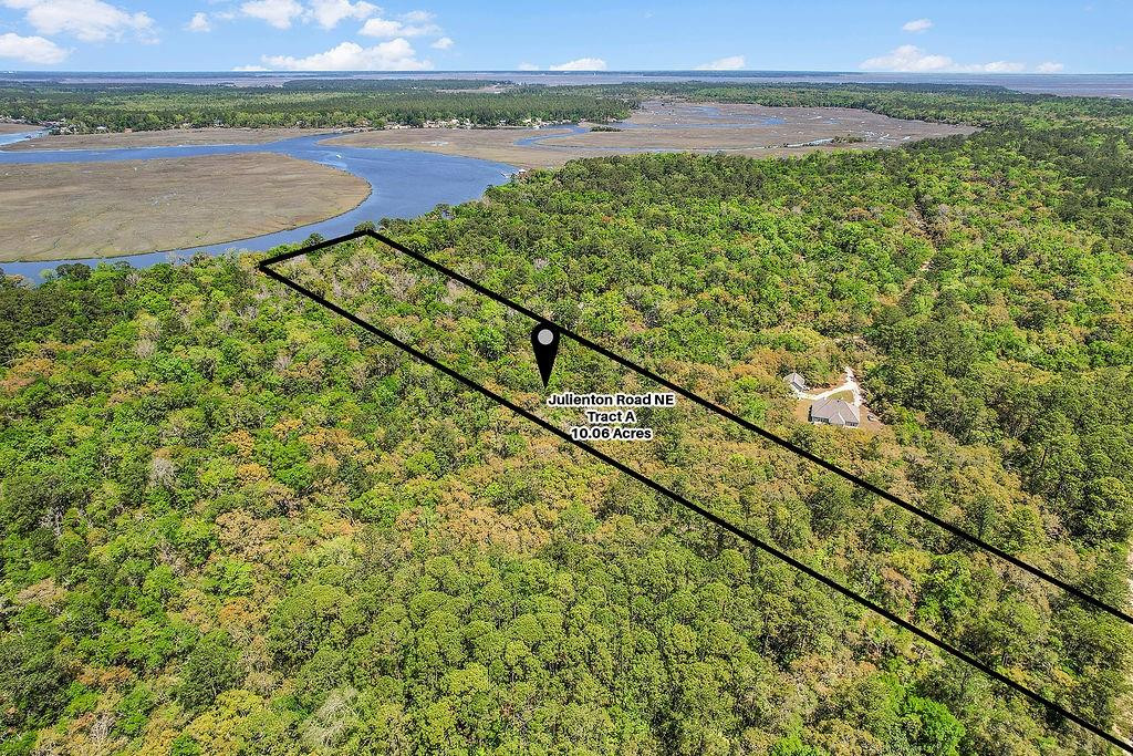 10.06-acres On Julienton Road Northeast Townsend, GA 31331 - Photo 10 of 12