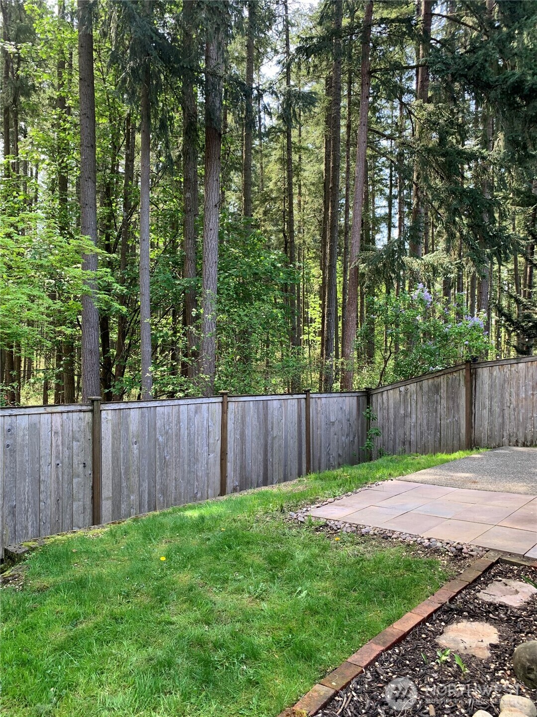 22463 Southeast 244th Street Maple Valley, WA 98038 - Photo 23 of 26 a view of a backyard with wooden fence and trees