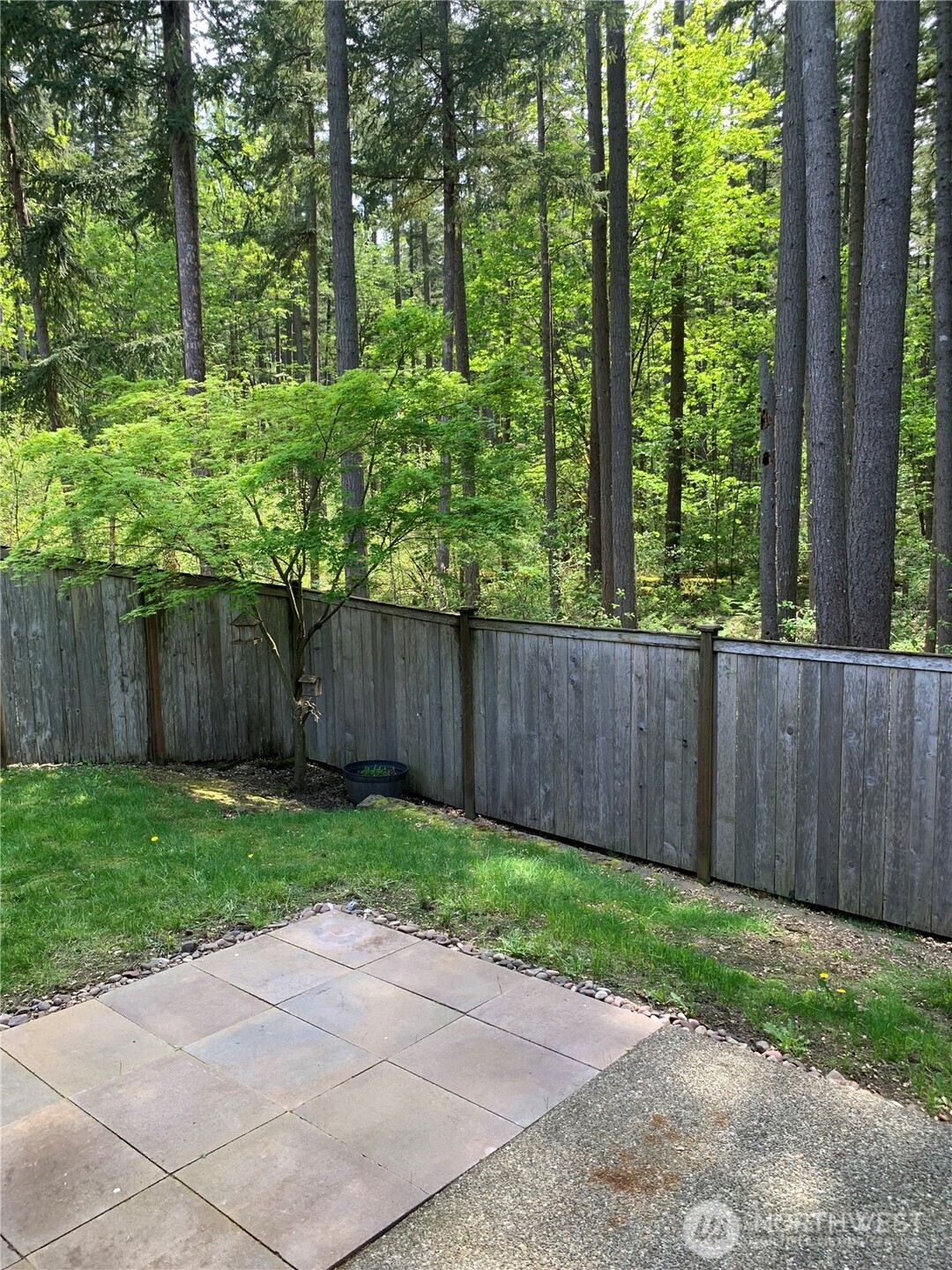 22463 Southeast 244th Street Maple Valley, WA 98038 - Photo 24 of 26 a view of backyard with green space