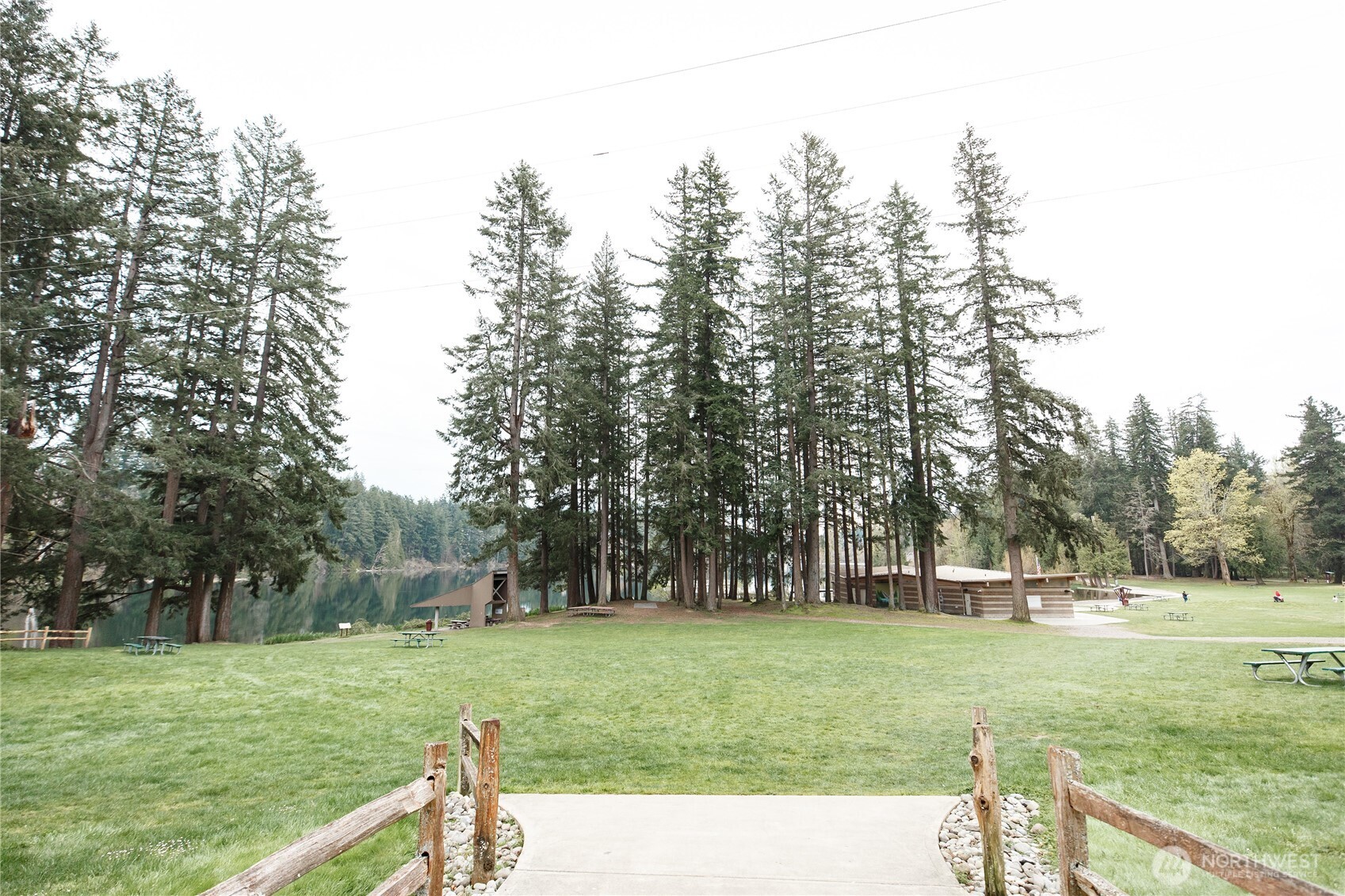 22463 Southeast 244th Street Maple Valley, WA 98038 - Photo 26 of 26 a view of a park with large trees