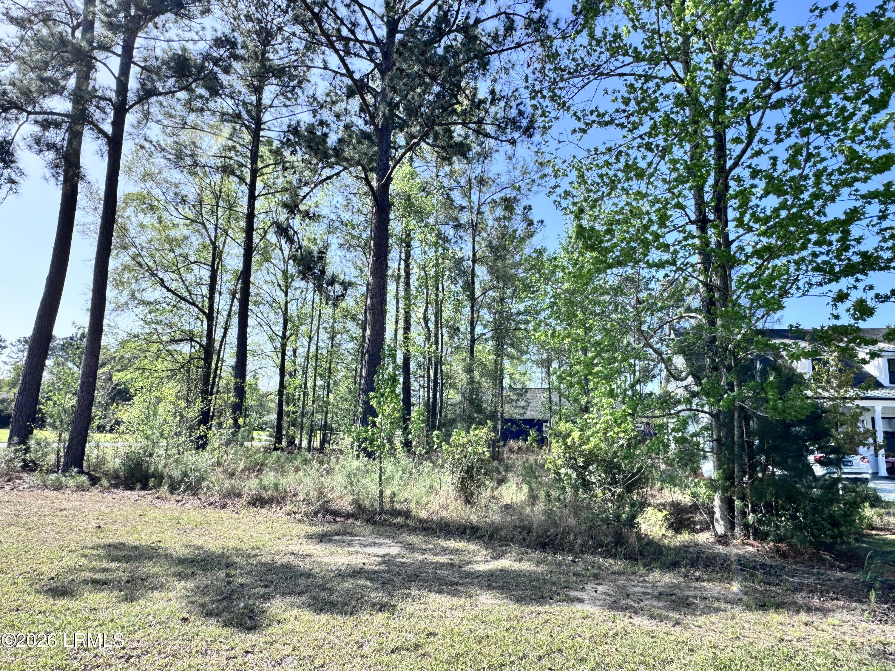 31 Full Sweep West Hardeeville, SC 29927 - Photo 3 of 14 IMG_2521