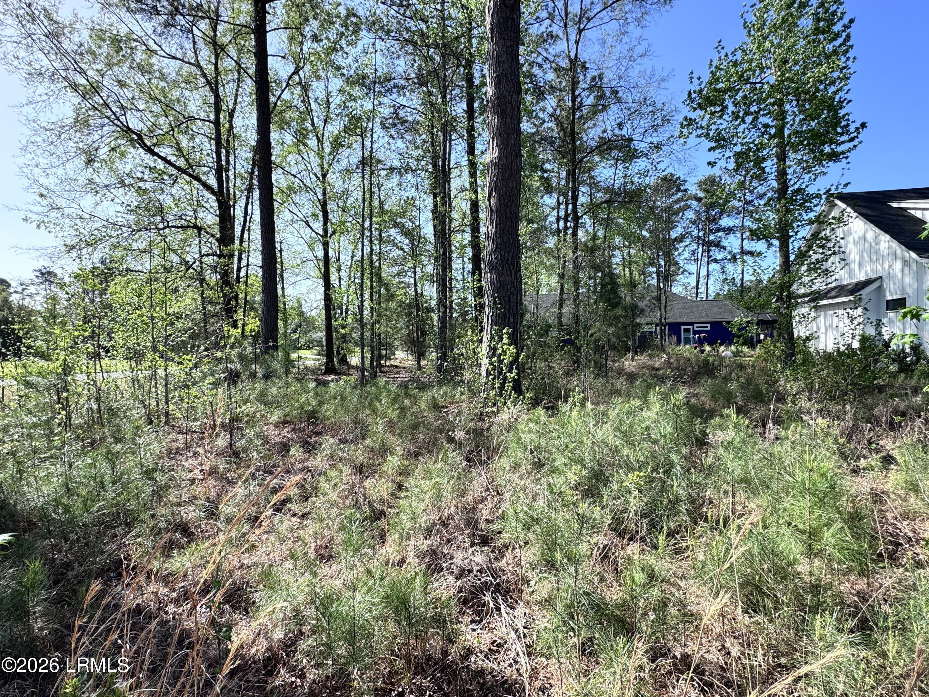 31 Full Sweep West Hardeeville, SC 29927 - Photo 4 of 14 IMG_2522