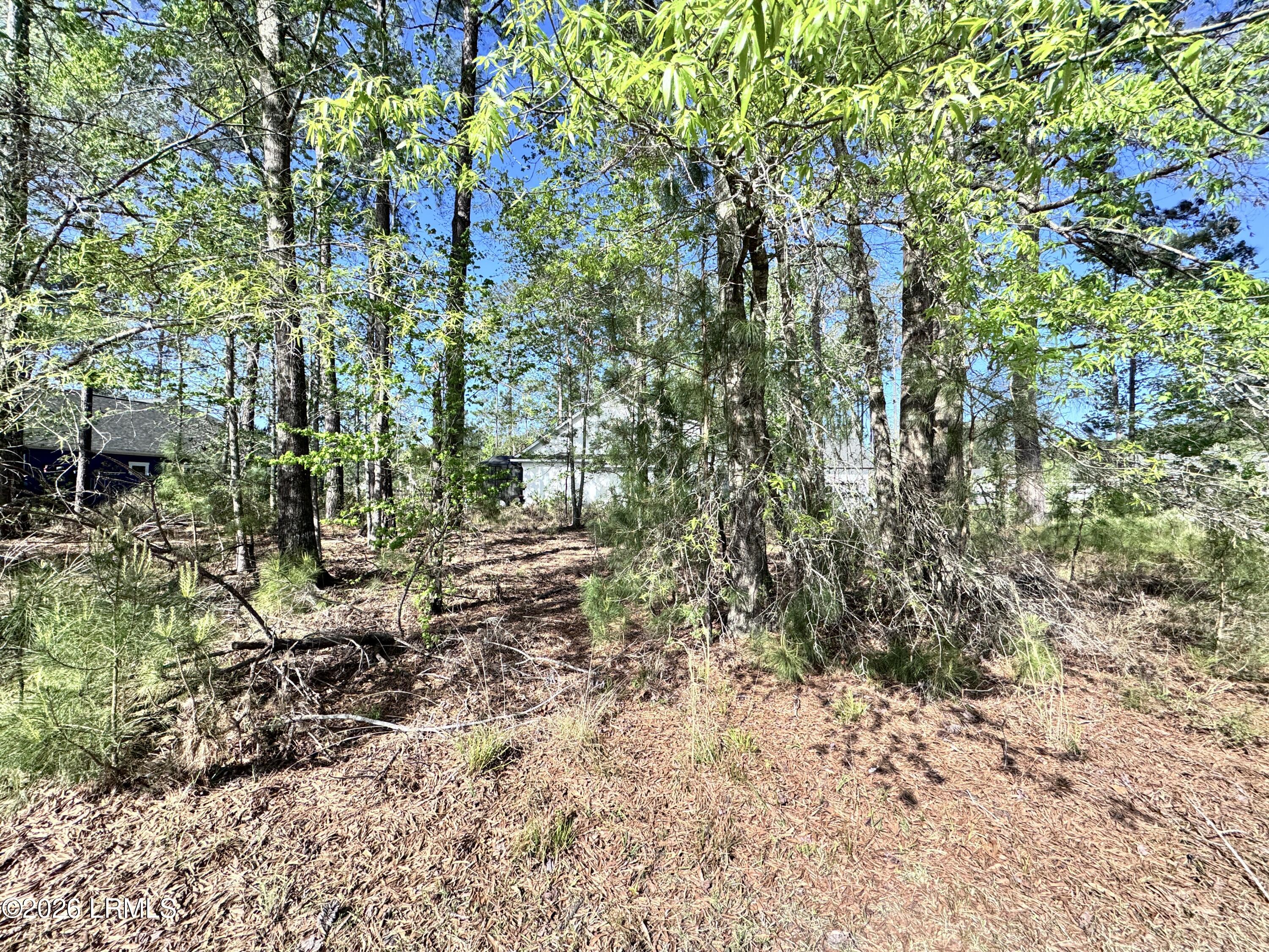 31 Full Sweep West Hardeeville, SC 29927 - Photo 5 of 14 IMG_2523