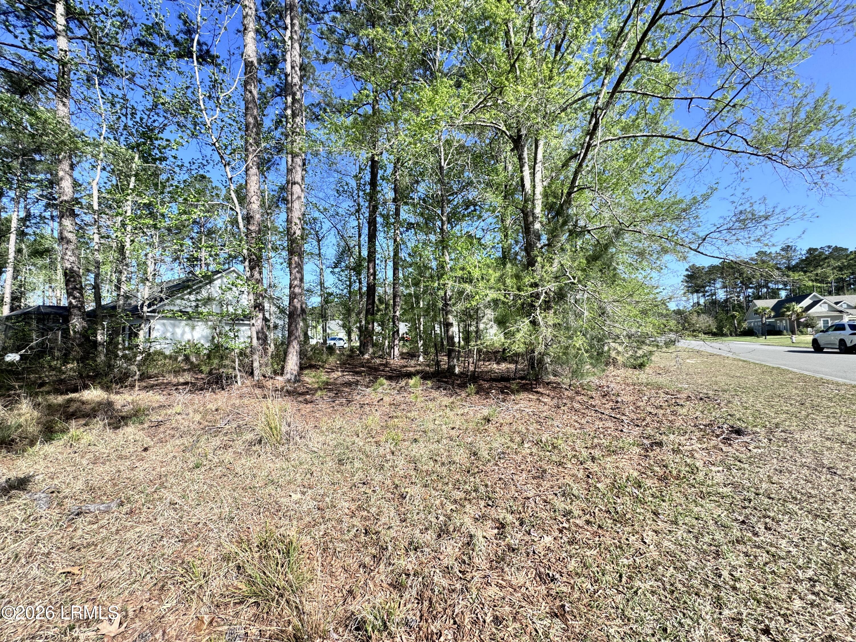 31 Full Sweep West Hardeeville, SC 29927 - Photo 6 of 14 IMG_2524