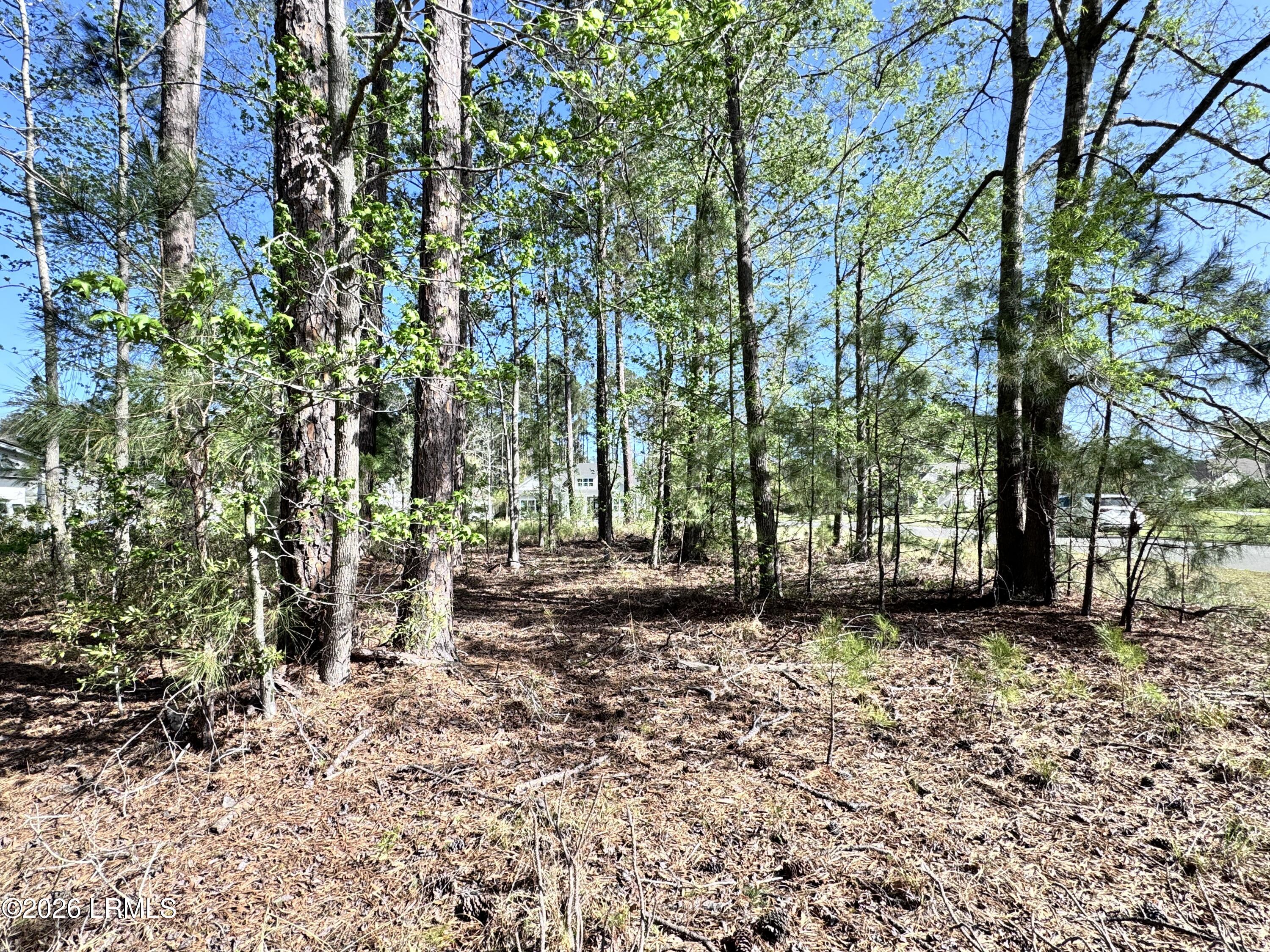 31 Full Sweep West Hardeeville, SC 29927 - Photo 7 of 14 IMG_2525