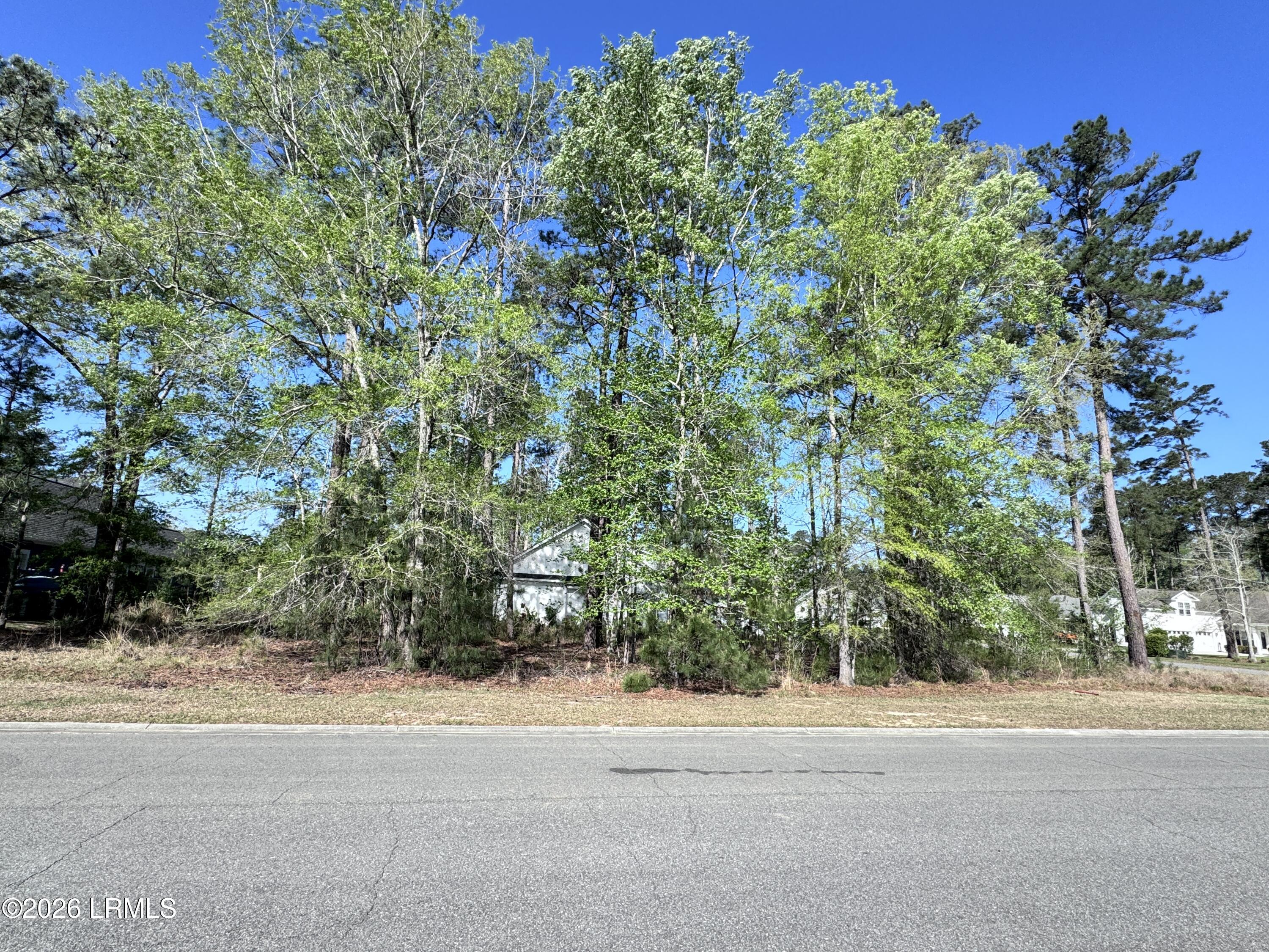 31 Full Sweep West Hardeeville, SC 29927 - Photo 8 of 14 IMG_2527