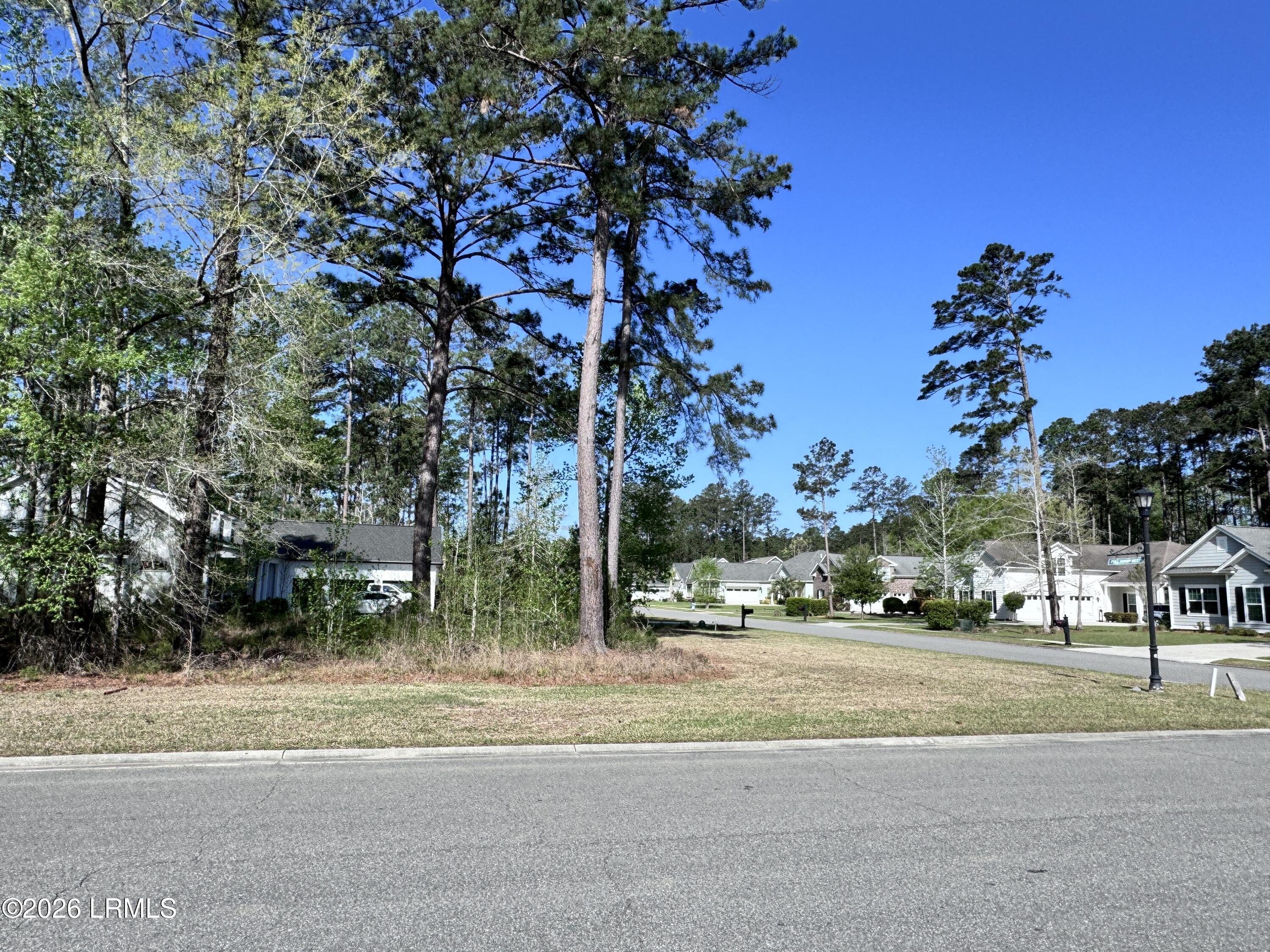 31 Full Sweep West Hardeeville, SC 29927 - Photo 9 of 14 IMG_2528