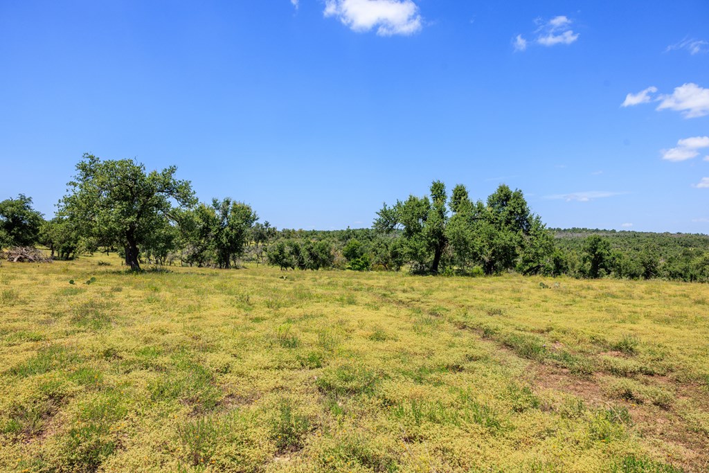 2656 Meier Road Fredericksburg, TX 78624 - Photo 15 of 23