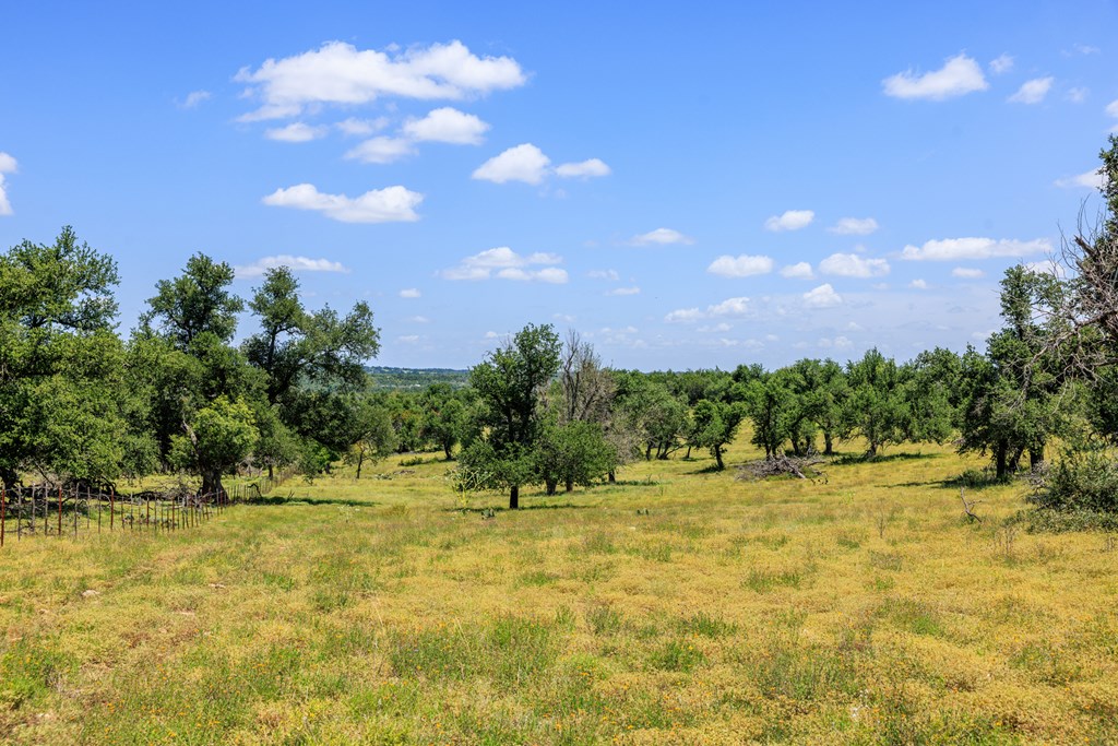 2656 Meier Road Fredericksburg, TX 78624 - Photo 18 of 23