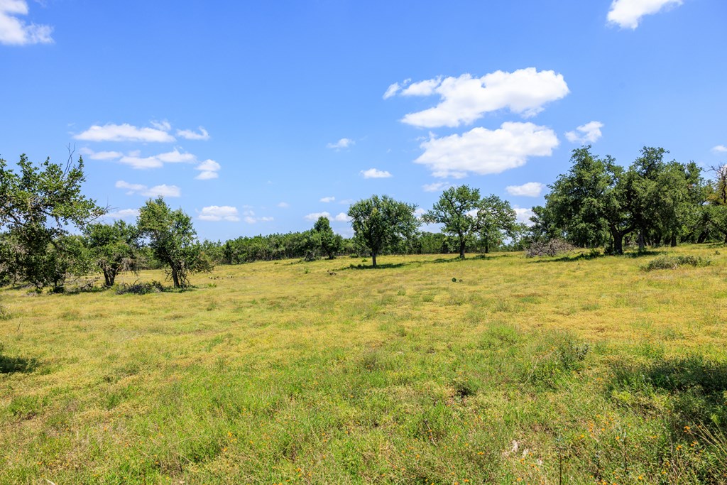 2656 Meier Road Fredericksburg, TX 78624 - Photo 19 of 23