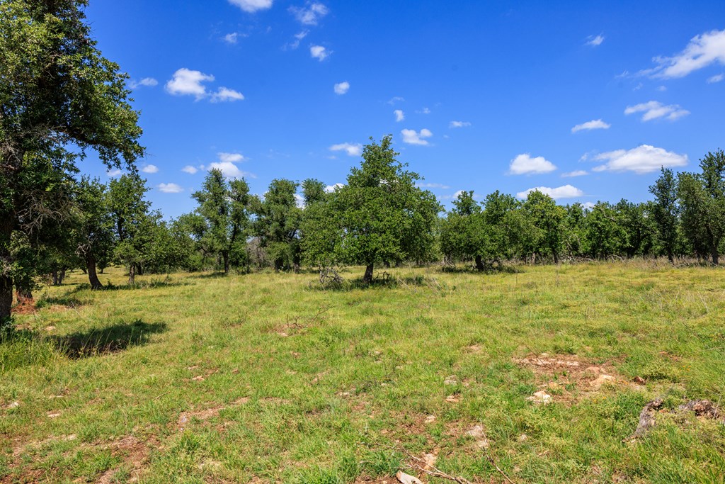 2656 Meier Road Fredericksburg, TX 78624 - Photo 20 of 23