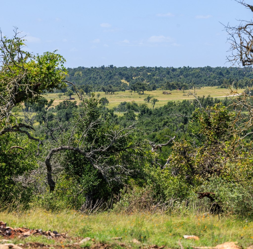 2656 Meier Road Fredericksburg, TX 78624 - Photo 21 of 23