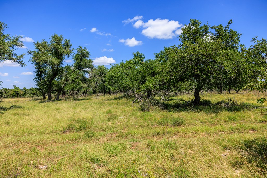 2656 Meier Road Fredericksburg, TX 78624 - Photo 22 of 23