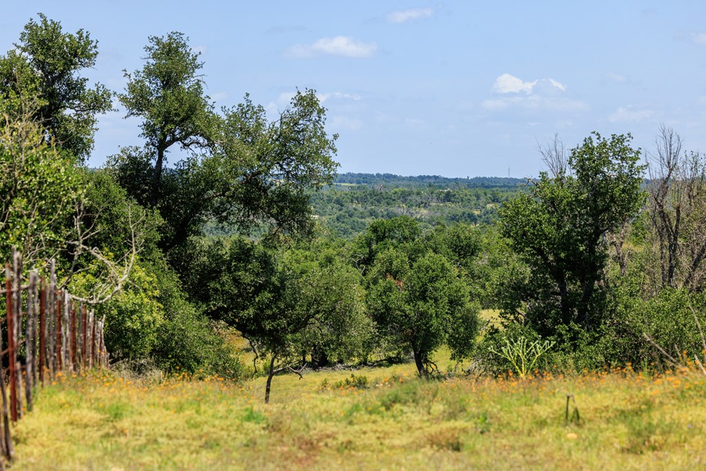 2656 Meier Road Fredericksburg, TX 78624 - Photo 3 of 23
