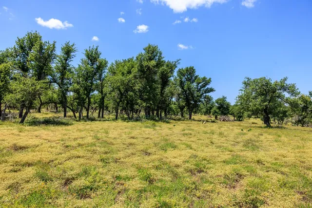 a yard with trees in the background