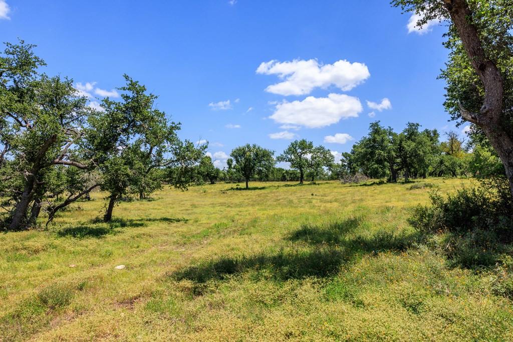 2656 Meier Road Fredericksburg, TX 78624 - Photo 5 of 23