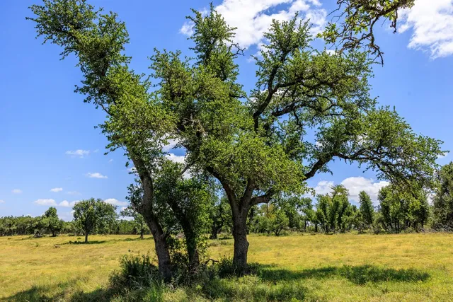 a view of swimming pool with a yard