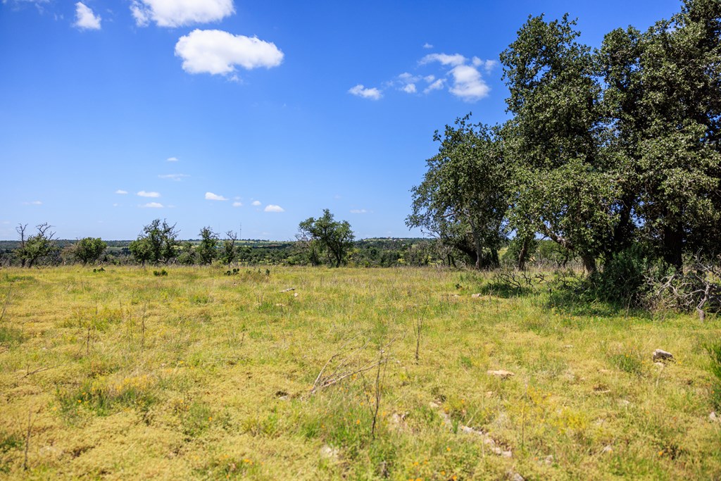 2656 Meier Road Fredericksburg, TX 78624 - Photo 7 of 23