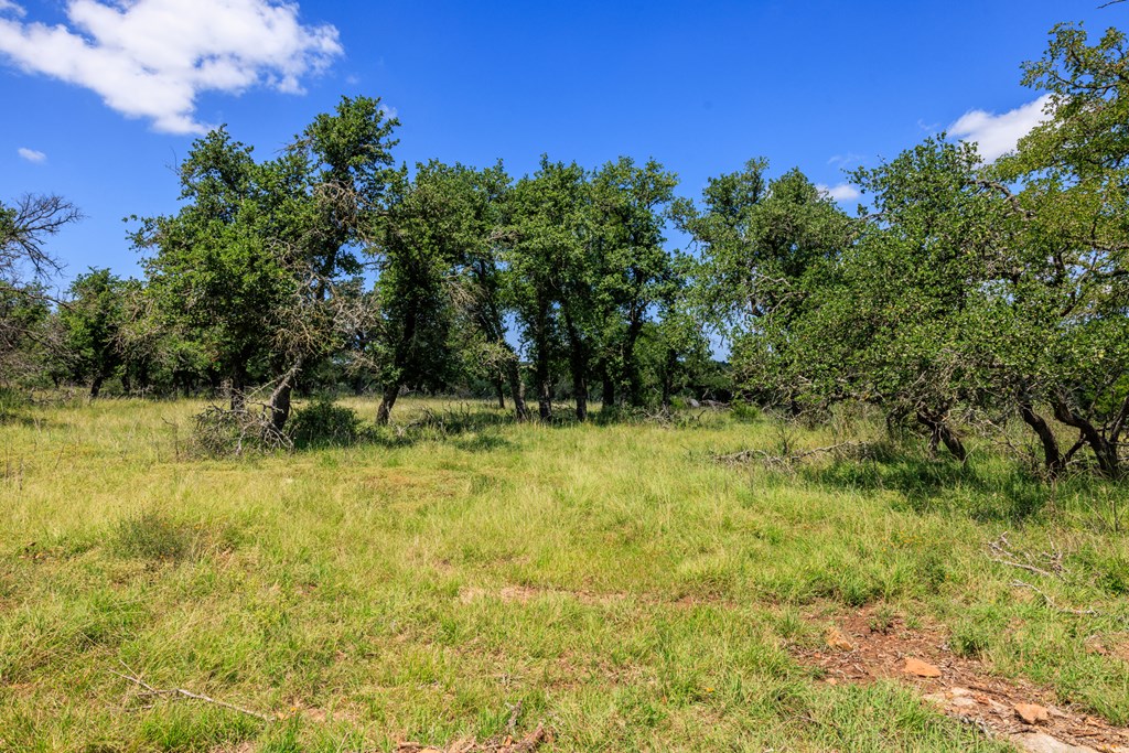 2656 Meier Road Fredericksburg, TX 78624 - Photo 8 of 23